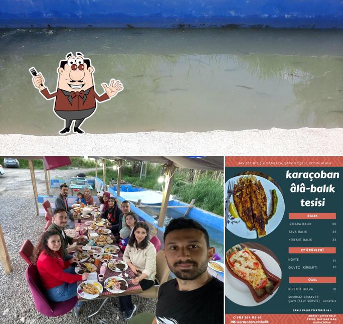 KARAÇOBAN ALABALIK TESİSİ