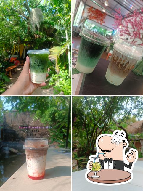 รีเฟรช คาเฟ่