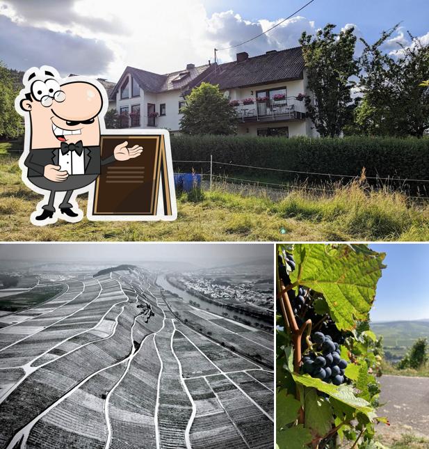 Weingut und Ferienwohnungen Harald Ludwig an der Mosel in Osann-Monzel