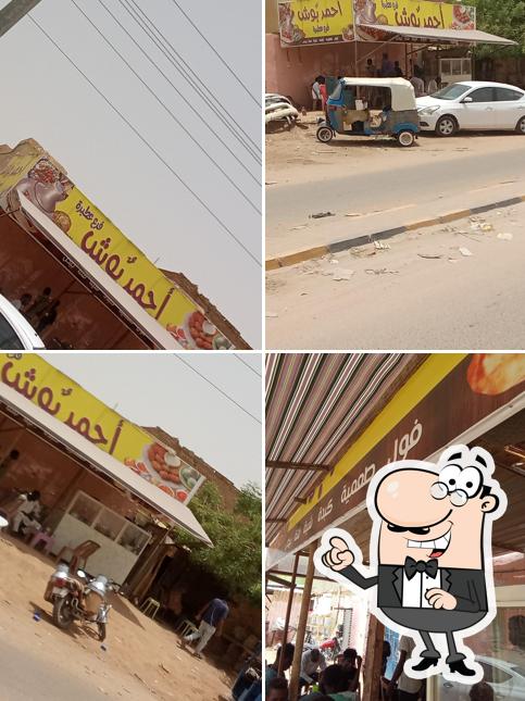 أحمد بوش
