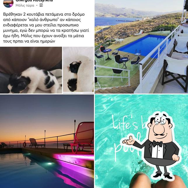 *Planitario_Poolbar*