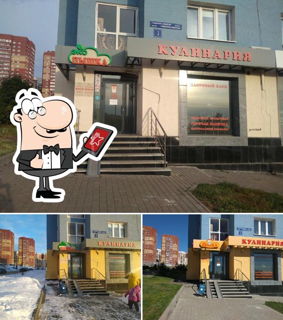 Пышка (франшиза)