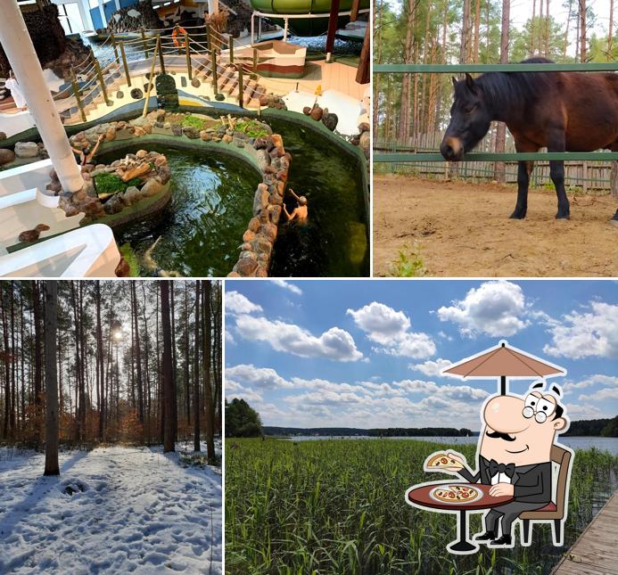 Warmia Park