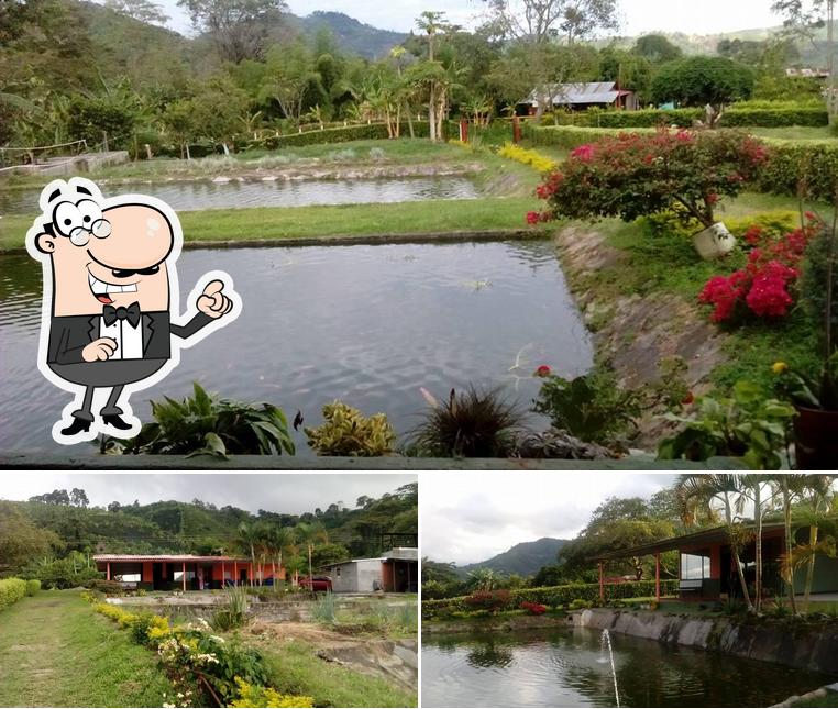 FINCA La Palmera