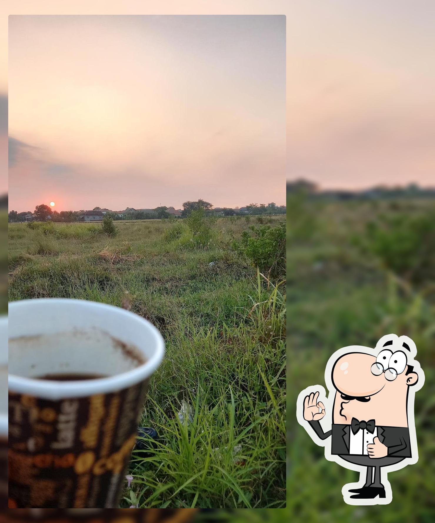 Kopi senja
