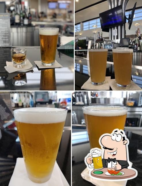 Shed Bar