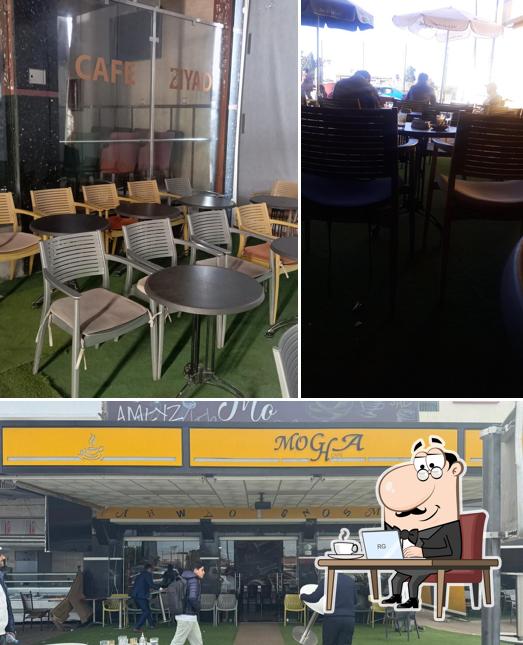 Café ziyad