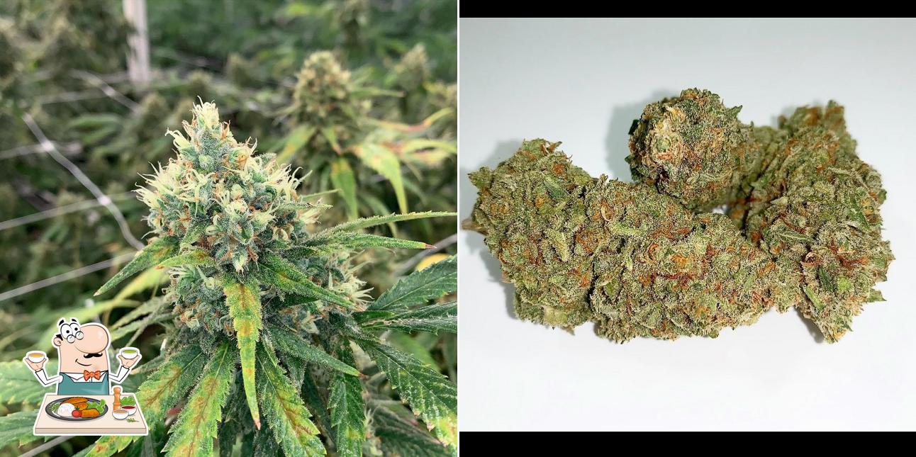 Granny's Buds N Suds