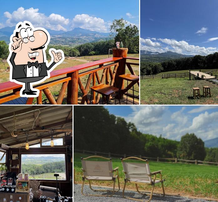 ไร่ปางวัว -Pangwua farm Cafe’