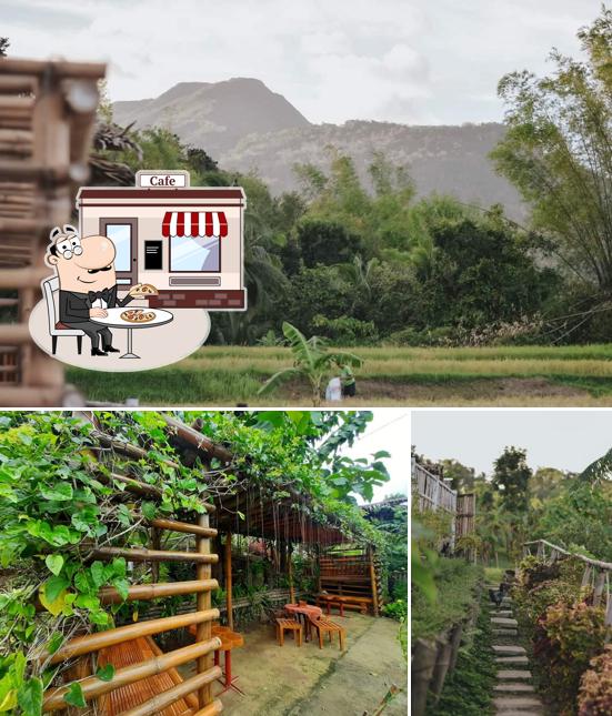 Tork’s Mountain Brew and Farm