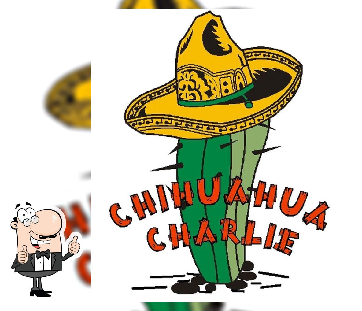 Chihuahua Charlie