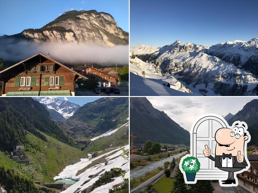 Alpenrose