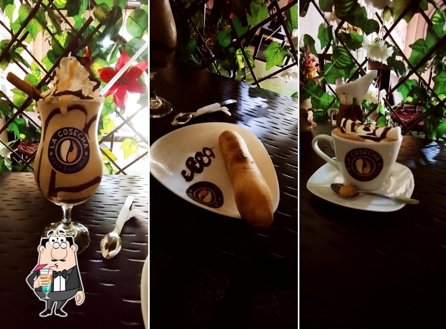La Cosecha Café Gourmet