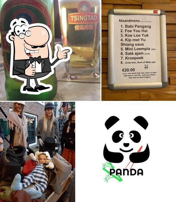 Panda Lemmer
