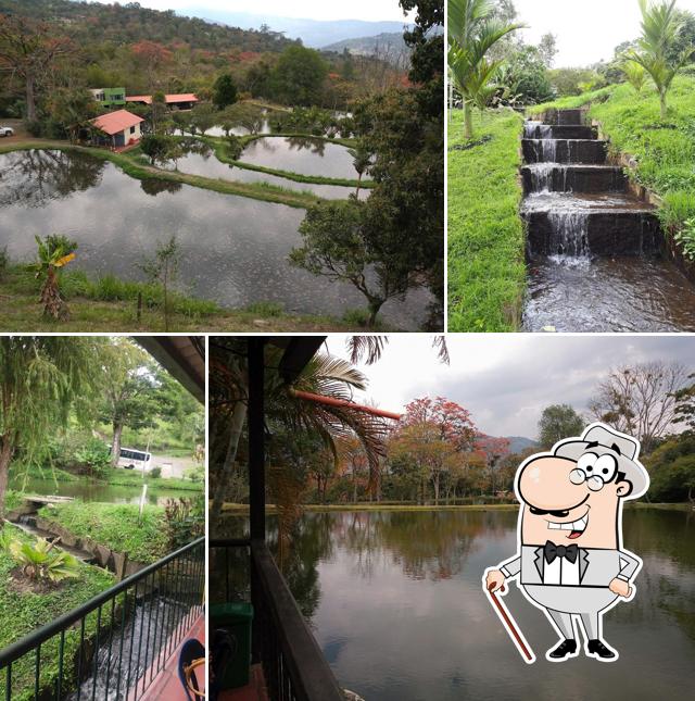 Restaurante Los Lagos