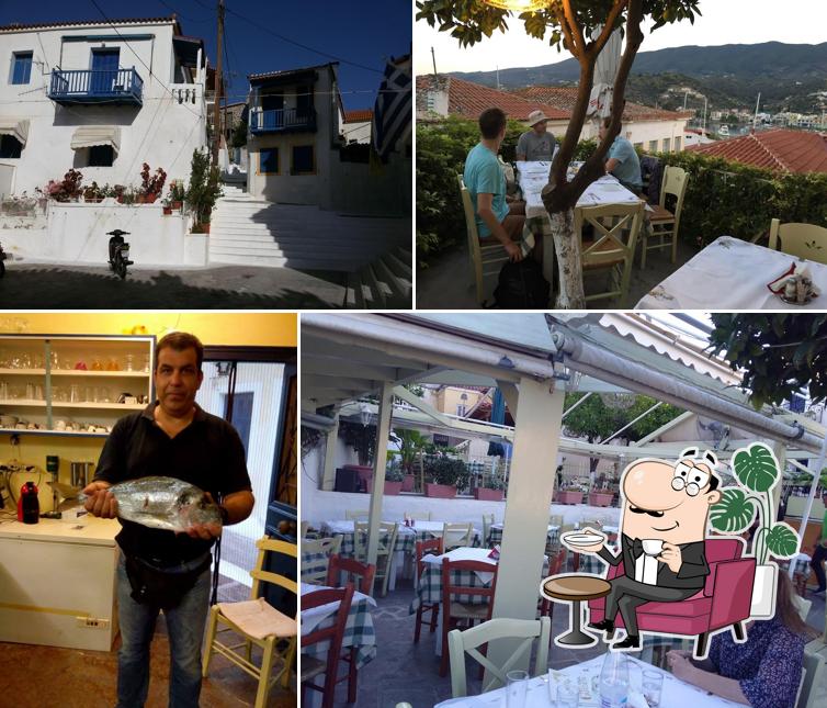 Taverna garden