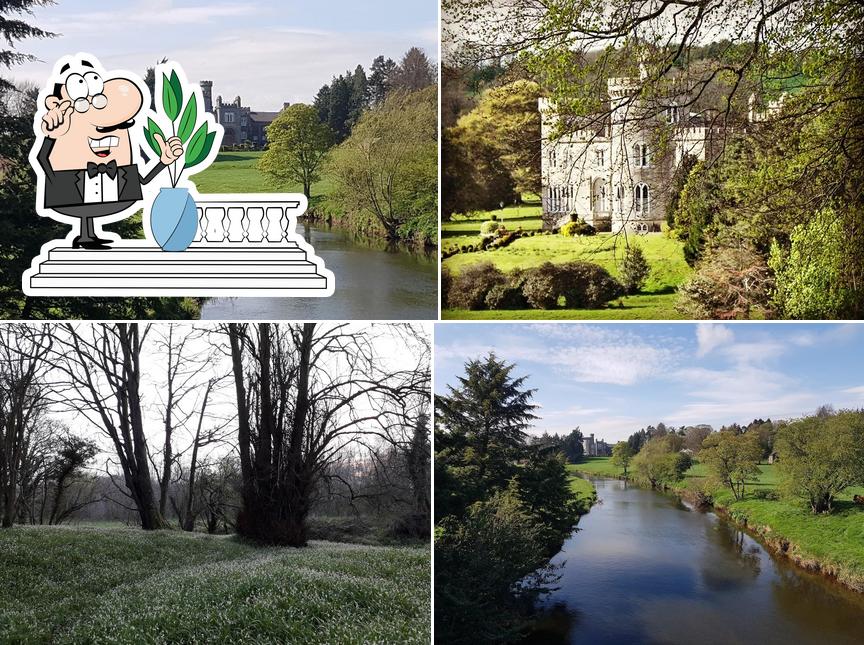Tommy's Kitchen At Killymoon Castle