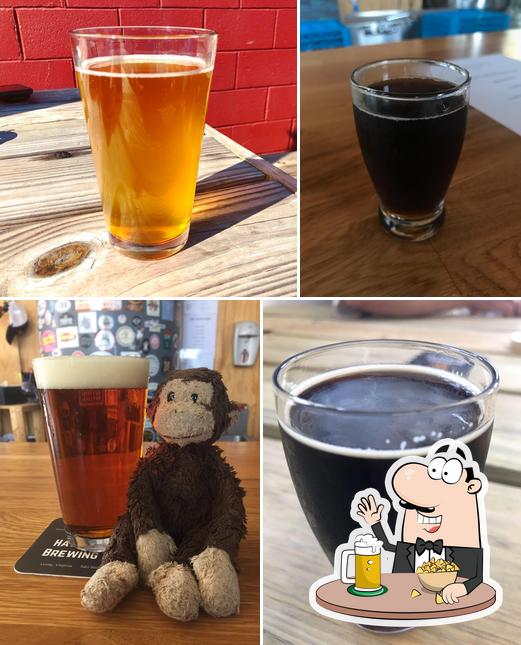 Hawksbill Brewing Company