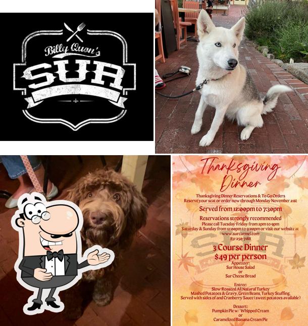 SUR at The Barnyard