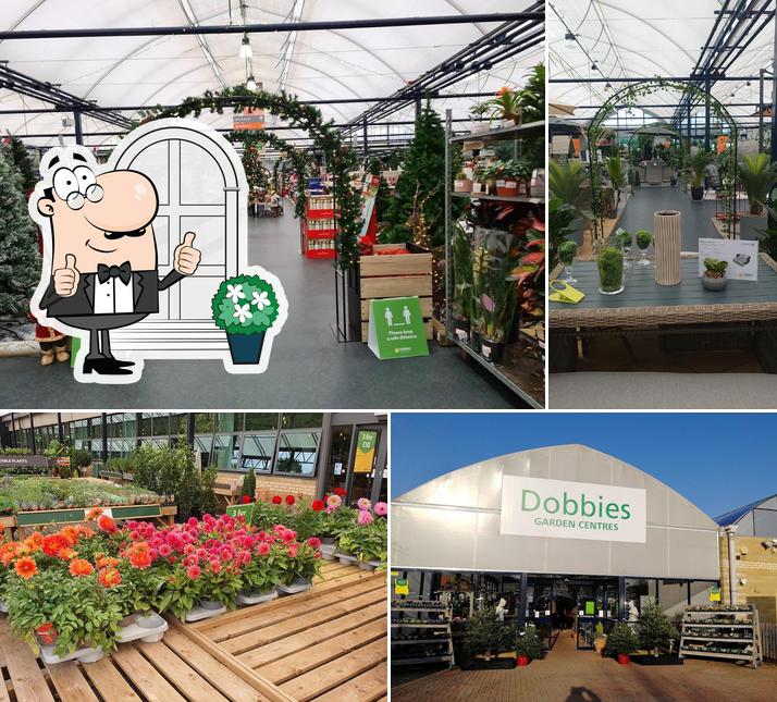 Dobbies Garden Centre