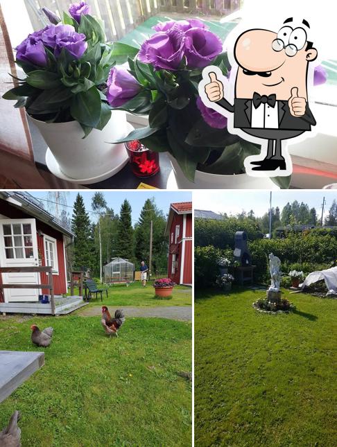 Hertsö Miljögård
