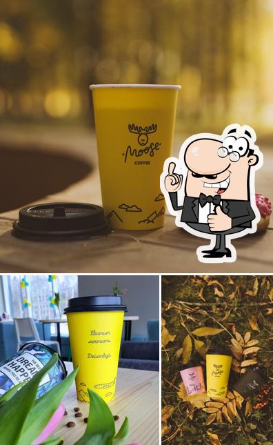 Coffee Moose