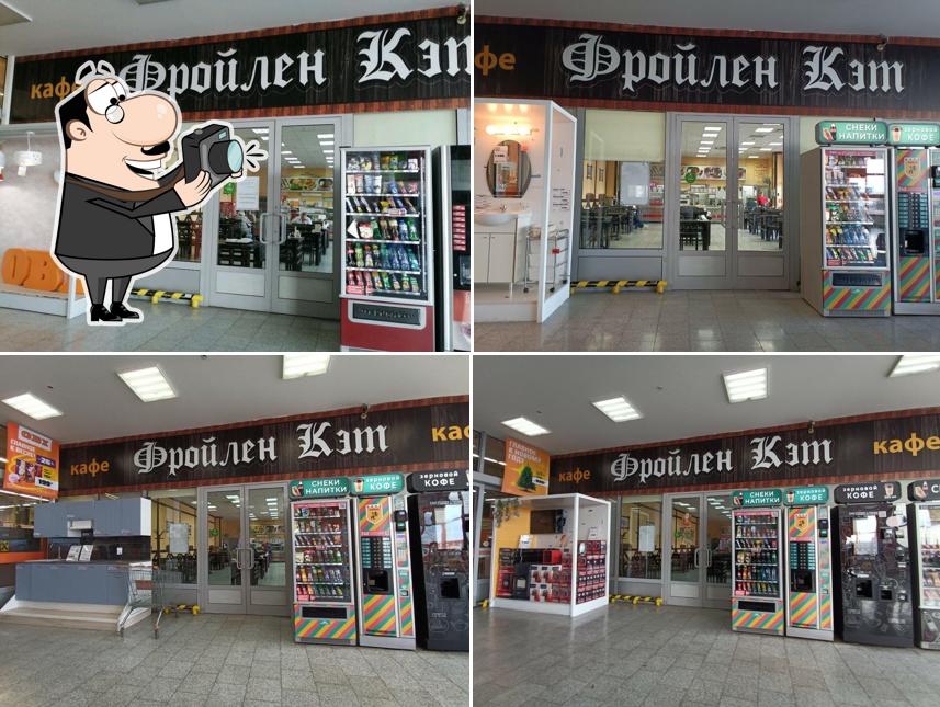 Фройлен Кэт