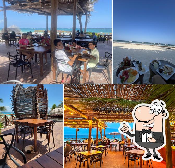 Alito Beach Club Tulum