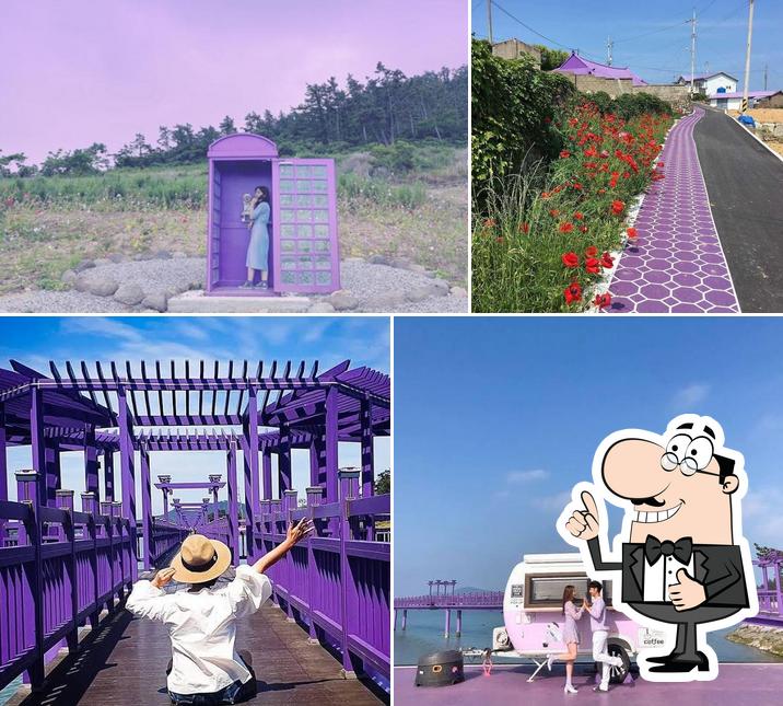 Purple Island 반월카페