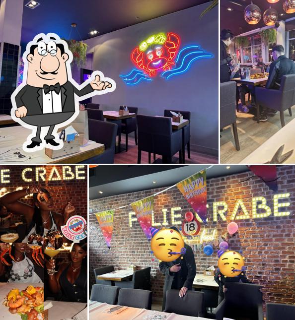 Folie Crabe Rotterdam