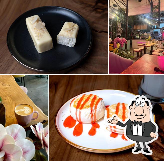 Енот Молотый