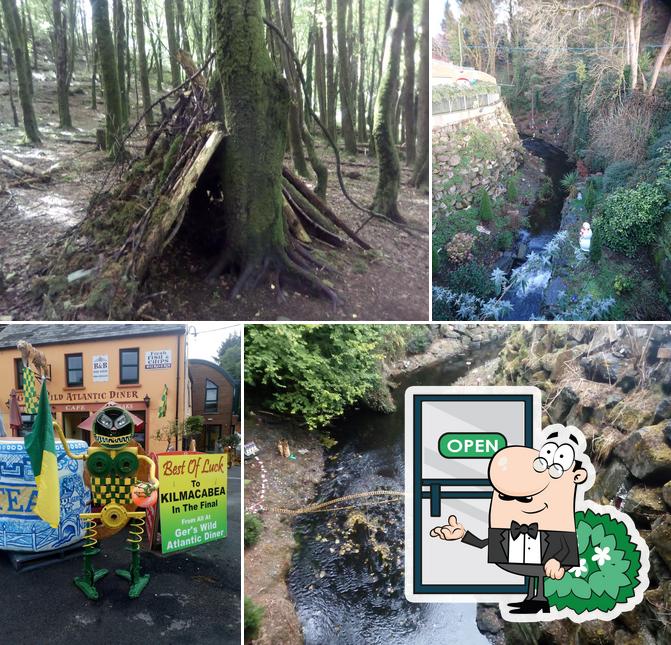 Ger's Wild Atlantic Diner