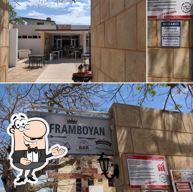 El framboyán
