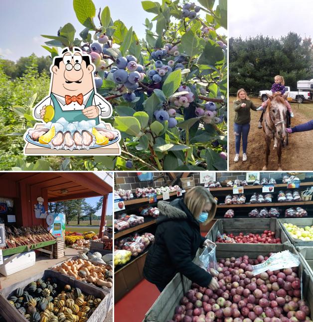 Montrose Orchards