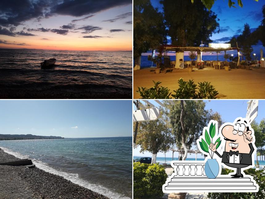 Μελτέμι Βραχναιίκα