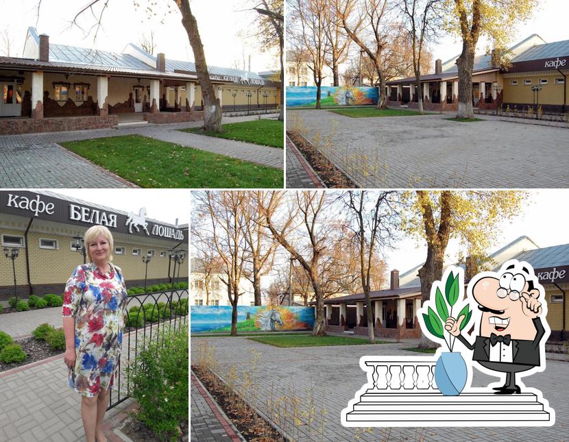 Посмотрите, как "Белая лошадь" выглядит снаружи