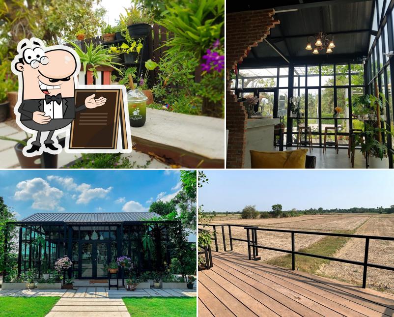 Fin Field Cafe&Bar