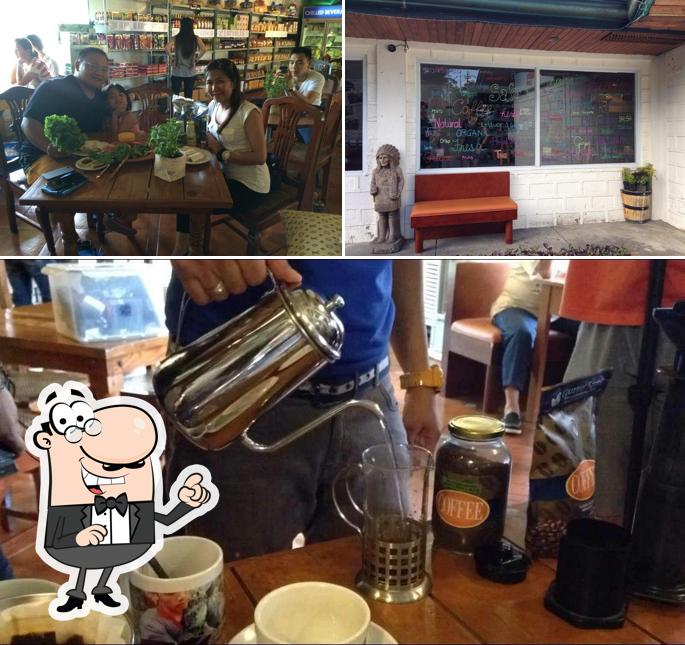 Gourmet's Tea and Coffee
