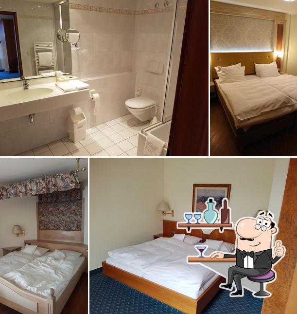 Rheinhotel Larus