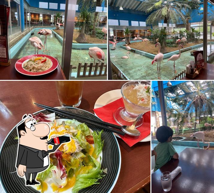 Seafoods Restaurant Mehico - Tsukuba Flamingo