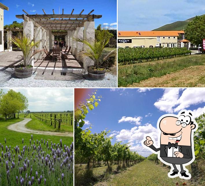 Wrights Vineyard and Winery