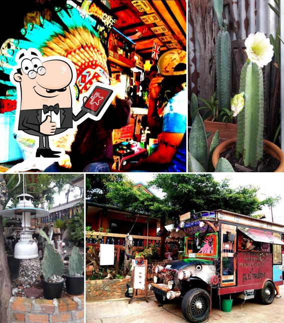 Aphaché café (คนป่าคาเฟ่)