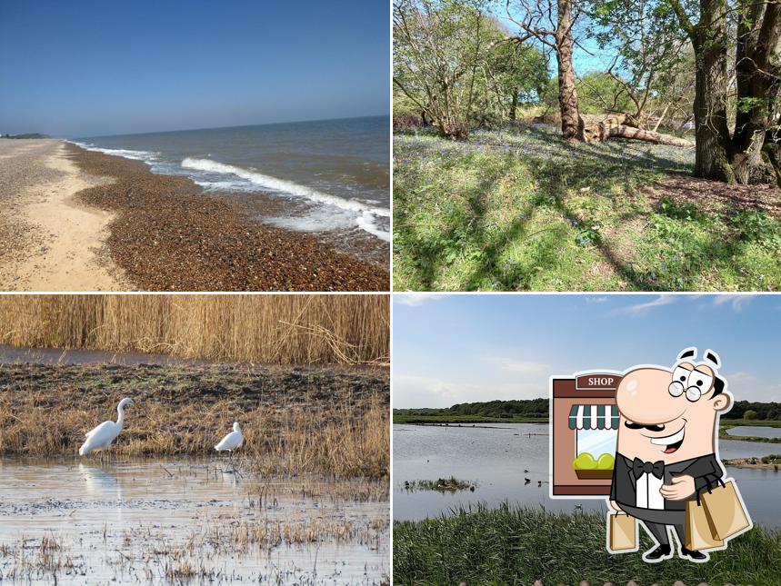 RSPB Minsmere