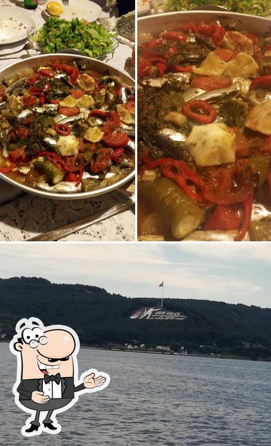 Pirireis Turizm Organizasyon