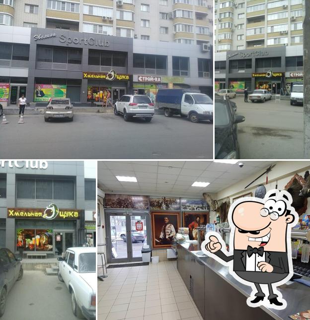Хмельная щука