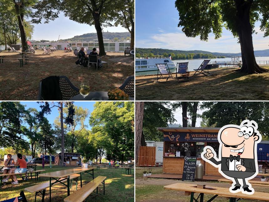 Weinstrand Rüdesheim am Rhein