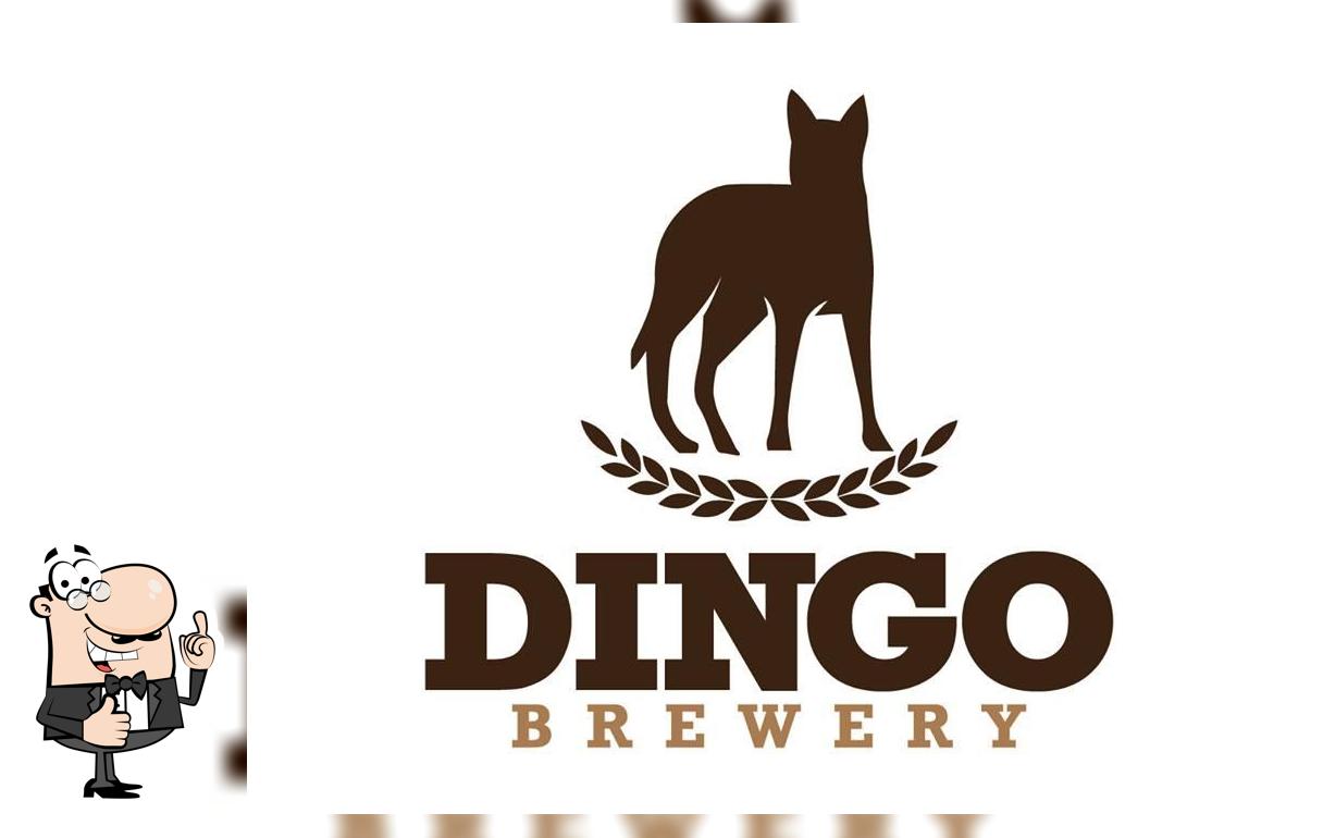 Dingo Brewery