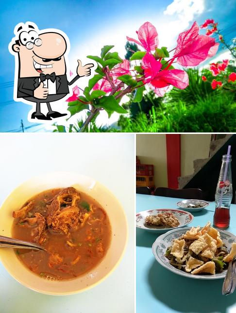 Lotek Jirek