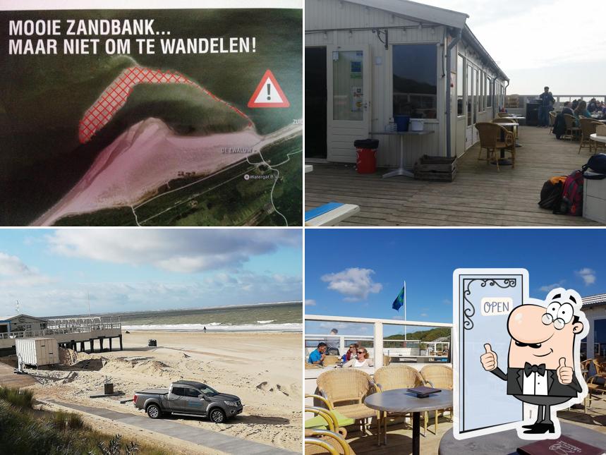 Basic Beach Bar De Branding