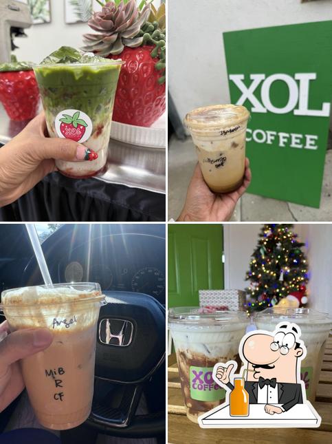 Xol Coffee